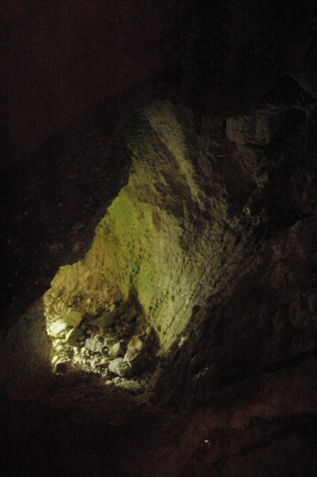 Sala microambienti - grotta